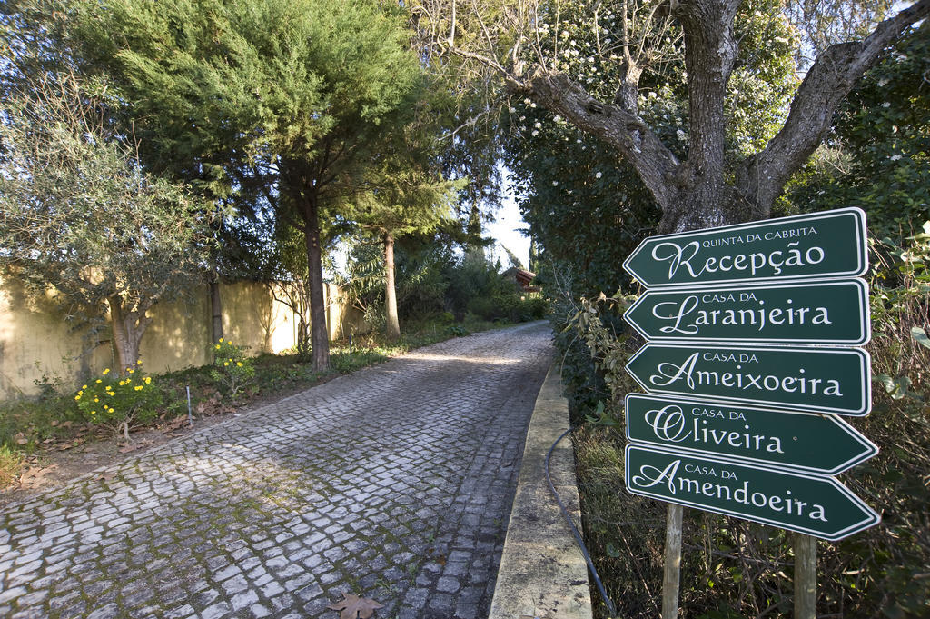 Quinta Da Cabrita Villa Santarém Eksteriør billede