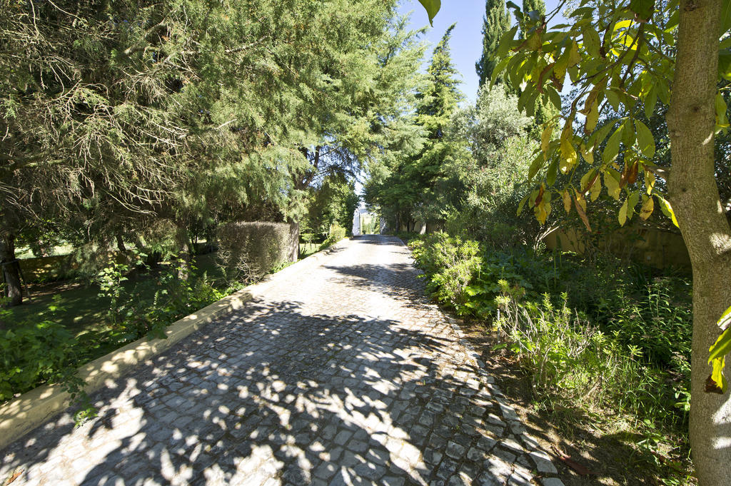 Quinta Da Cabrita Villa Santarém Eksteriør billede