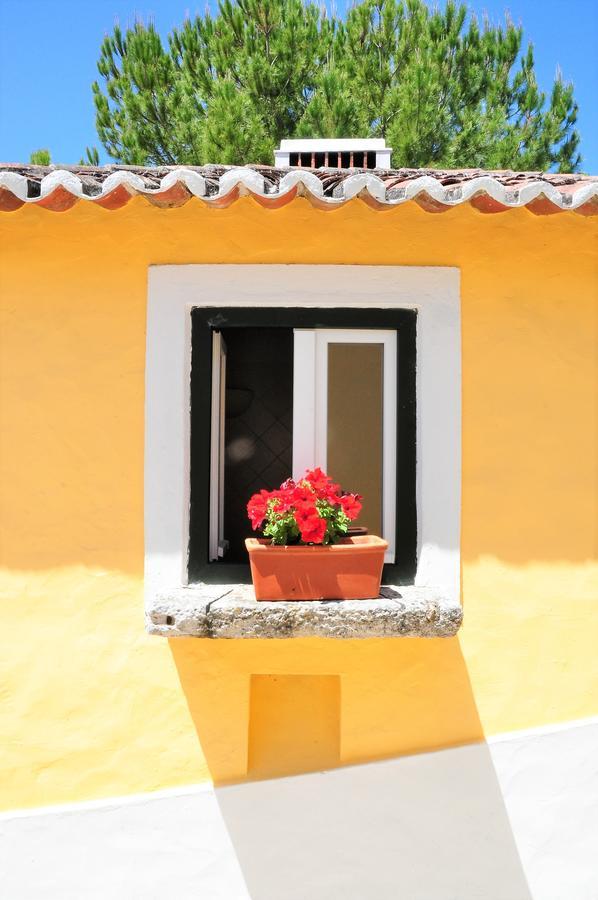 Quinta Da Cabrita Villa Santarém Eksteriør billede